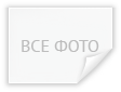 все фото